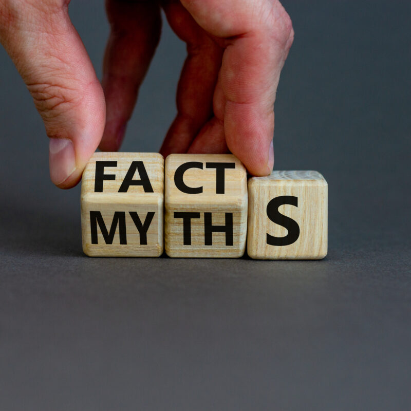 myths about DBS checks