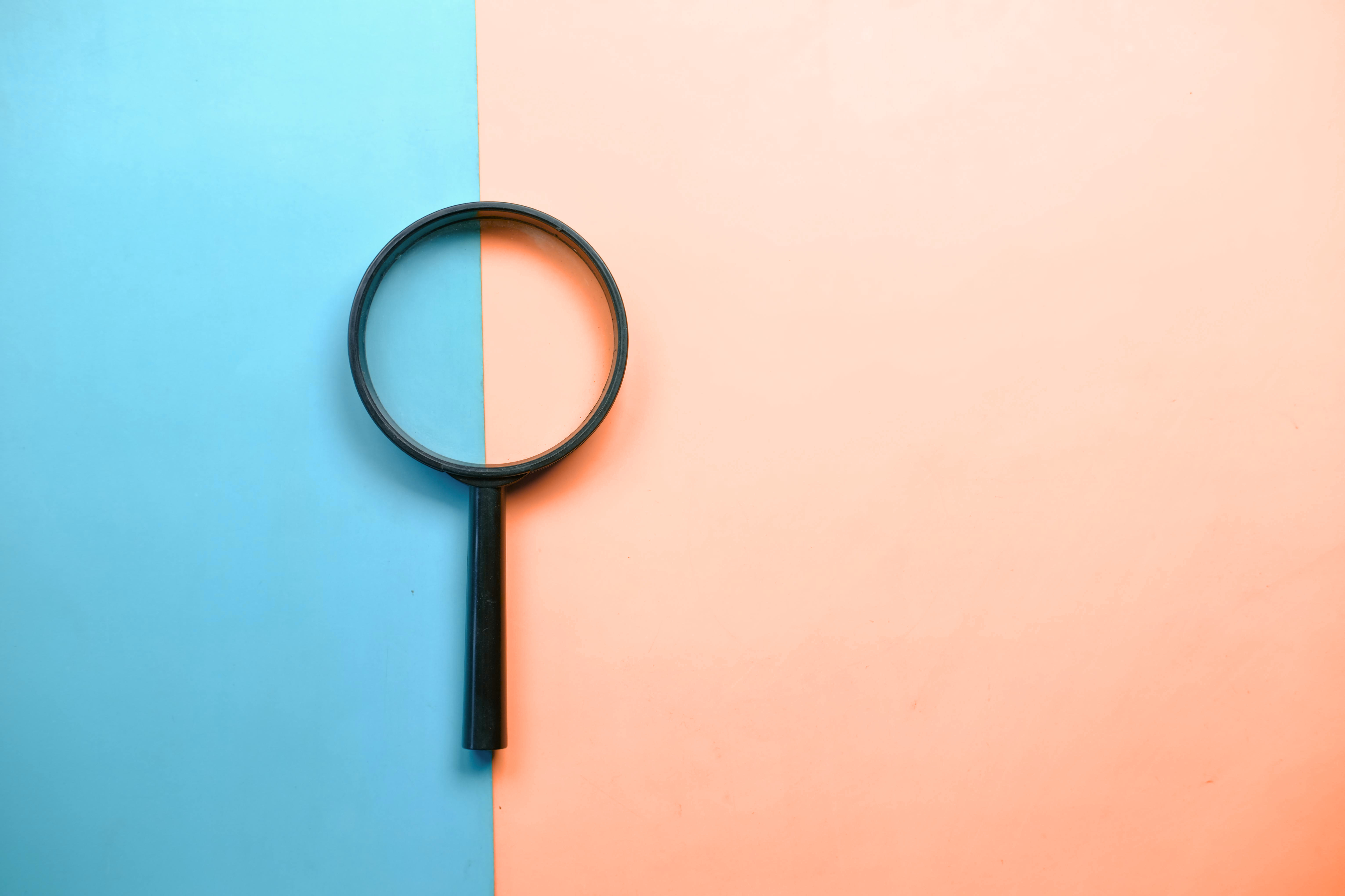 guide to dbs checks in the uk 2026